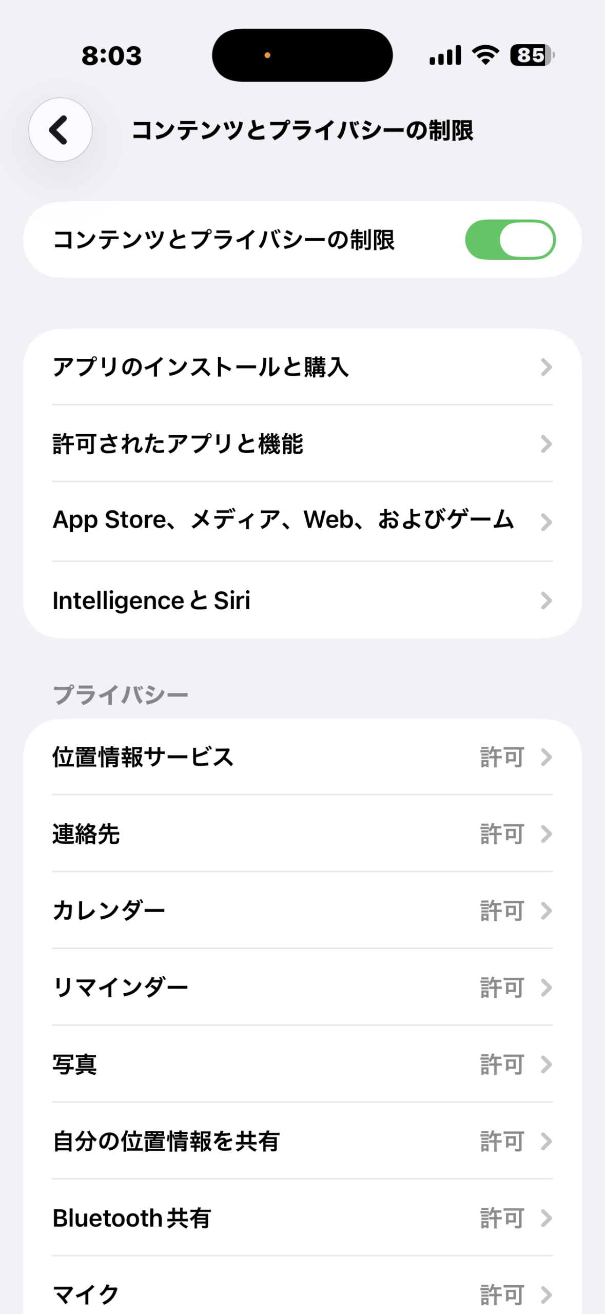 コンテンツとプライバシーの制限設定