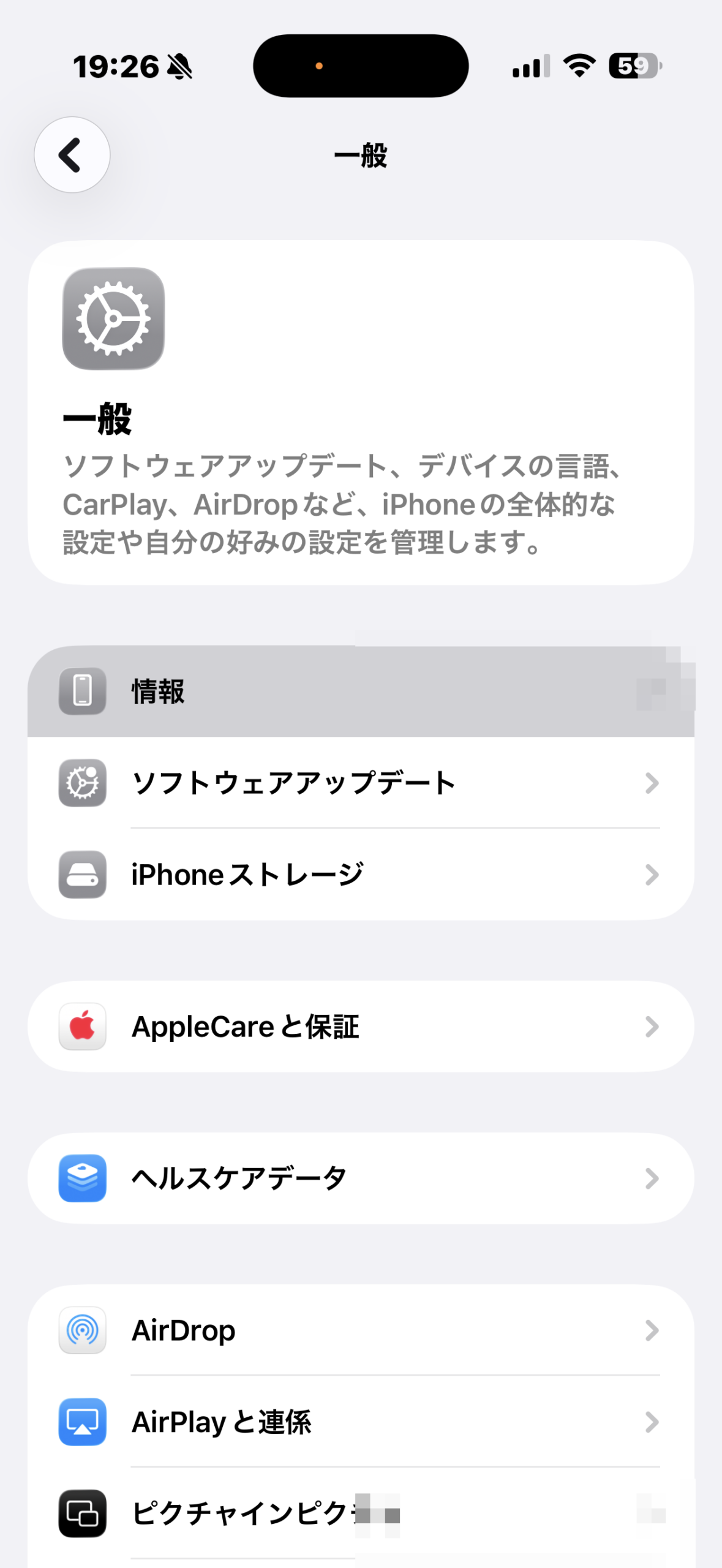 設定アプリ→一般→情報の画面