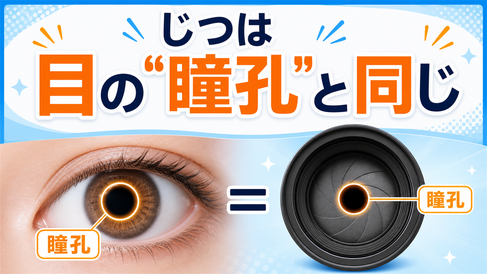カメラの絞りは目の瞳孔と同じ 明るいと縮み暗いと開く