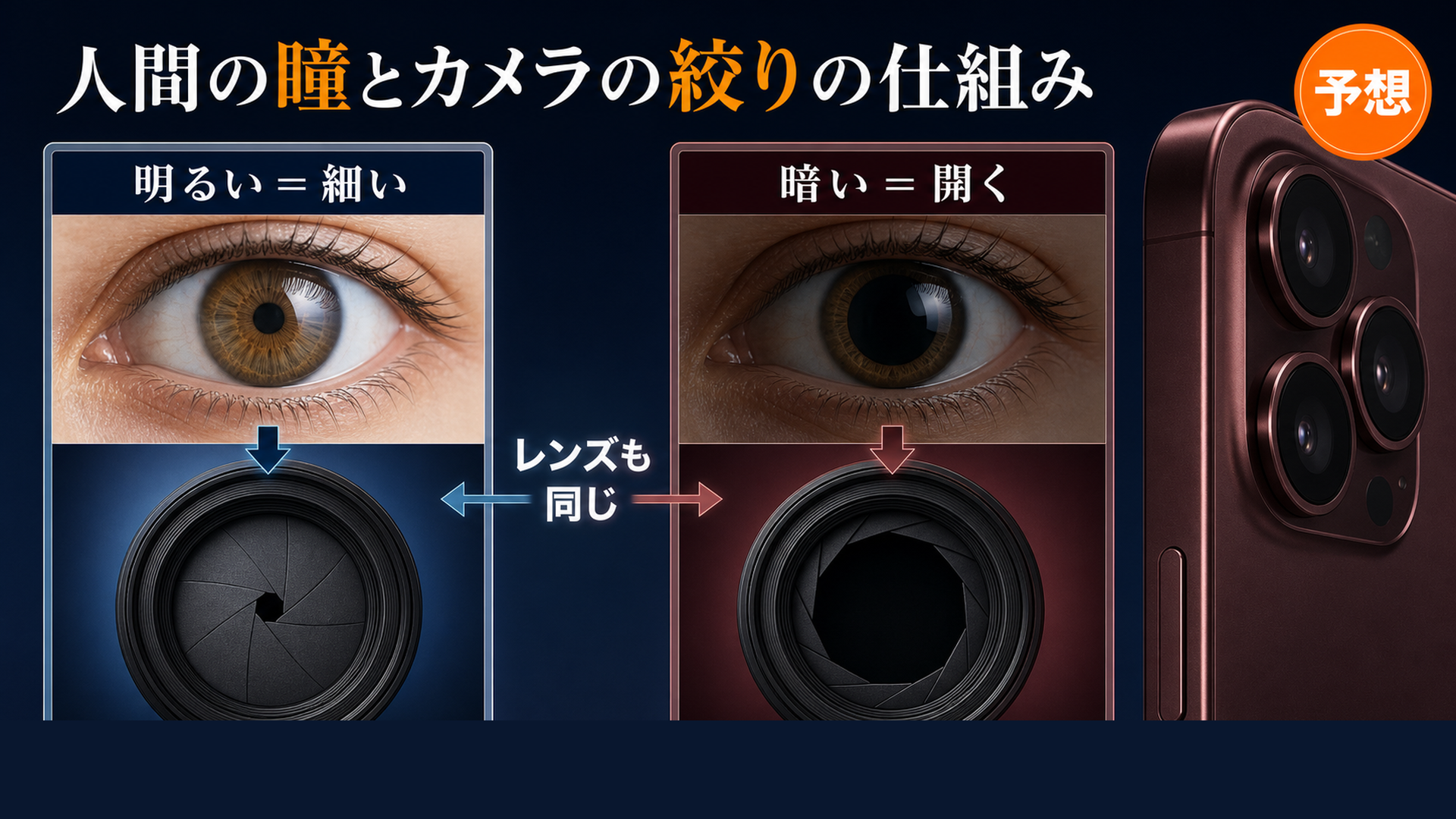 18 Proの可変絞りは人の目の瞳孔のように穴の大きさが変わる