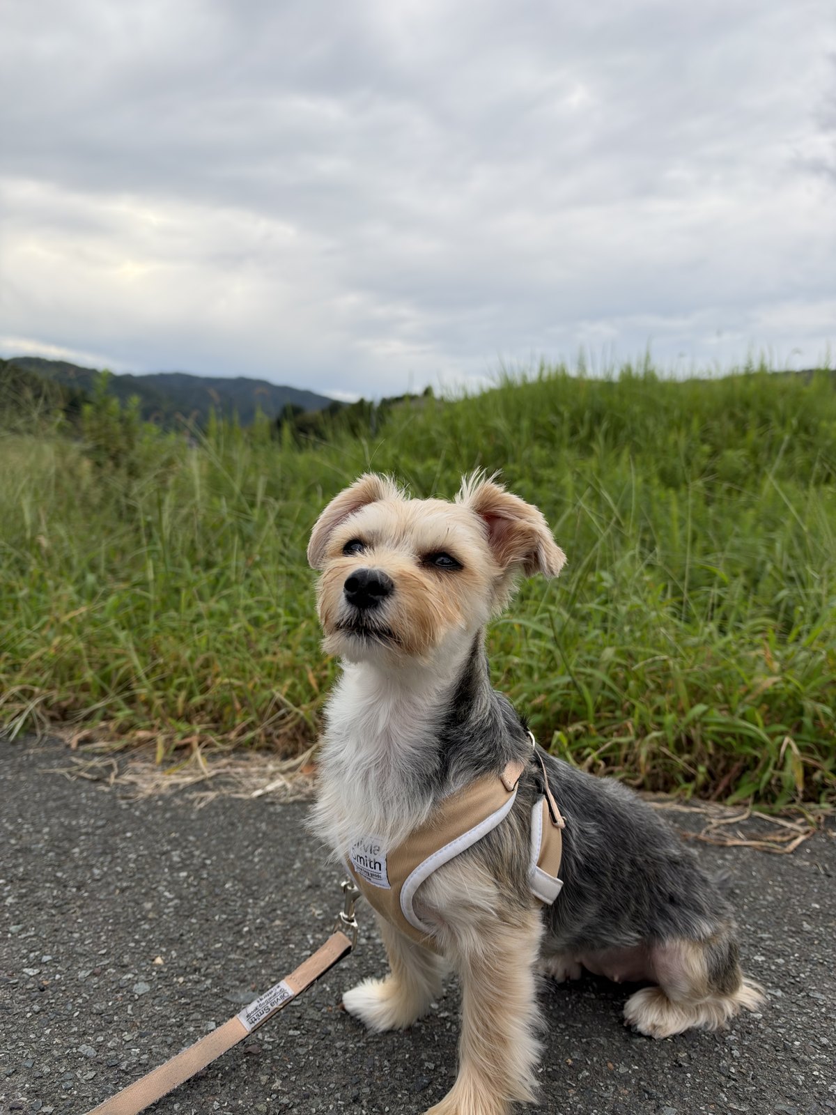 ƒ/1.8で撮った写真