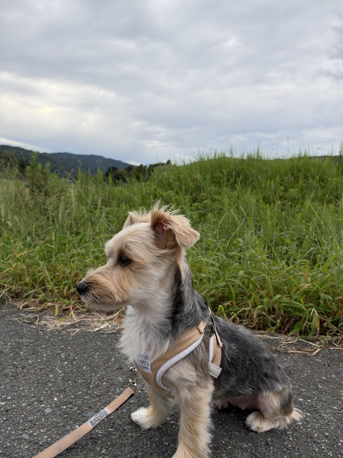 ƒ/2.8で撮った写真