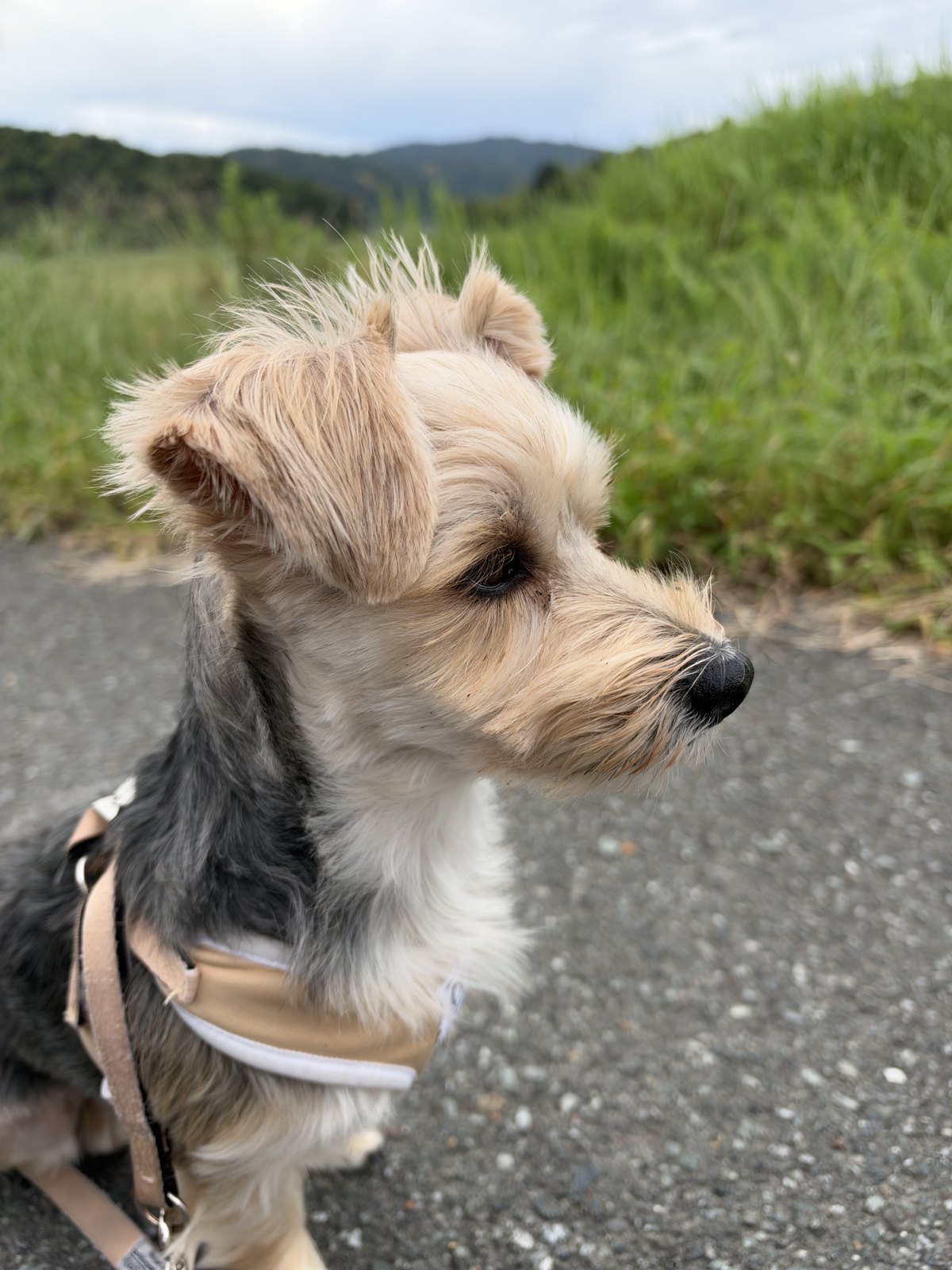 ƒ/1.8で撮った写真