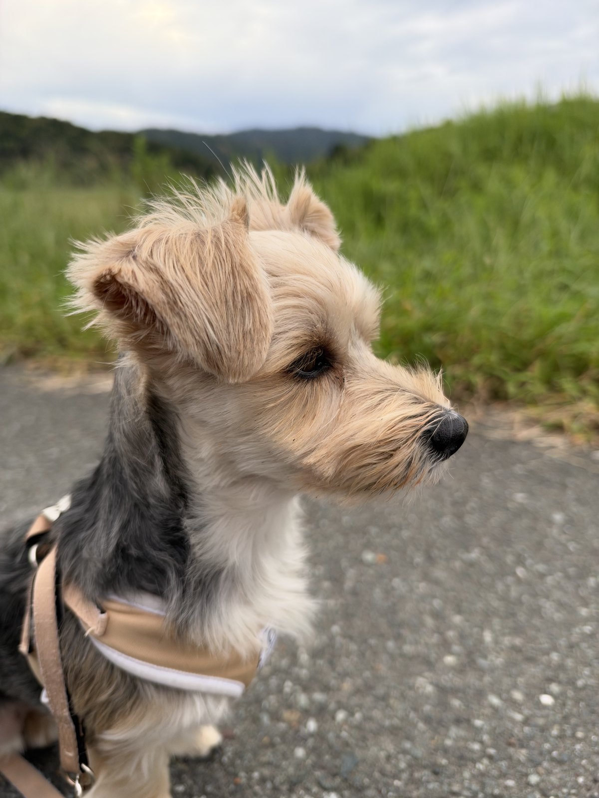 ƒ/1.48で撮った写真