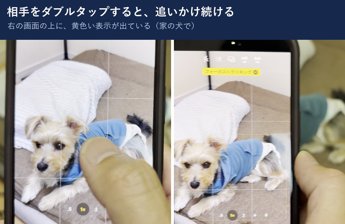 相手をダブルタップして追いかけ続ける機能の画面