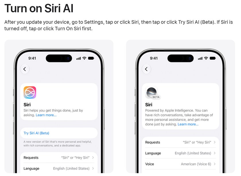 Appleサポートの「Turn on Siri AI」の手順の画面